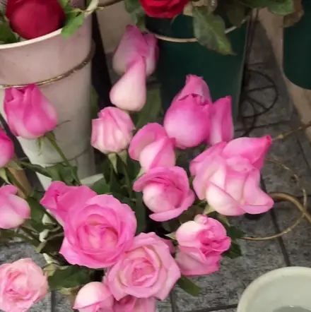 Rosas cor-de-rosa no balde da loja