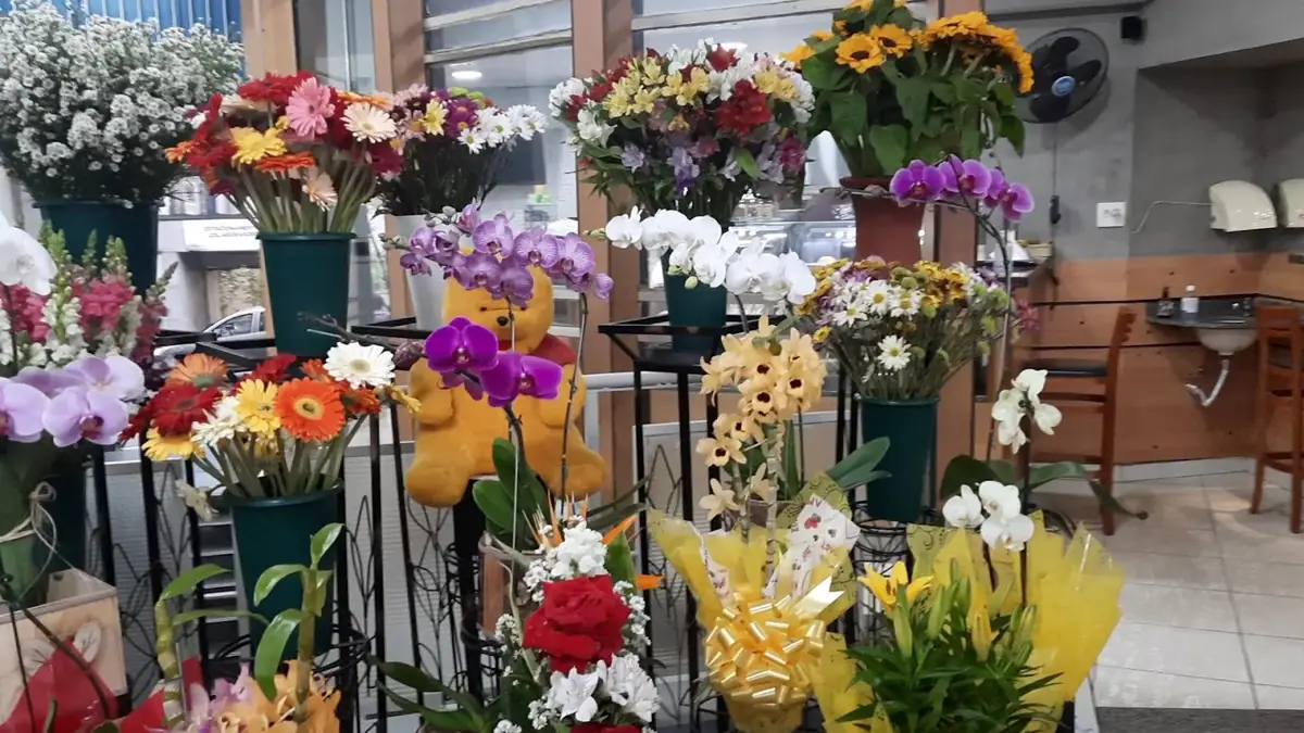 Baldes de orquídeas, gérberas, girassóis e rosas expostos na Flores Carlos